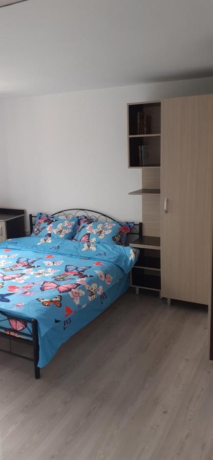 Pensiunea Lyo Două Mai Pokój zdjęcie